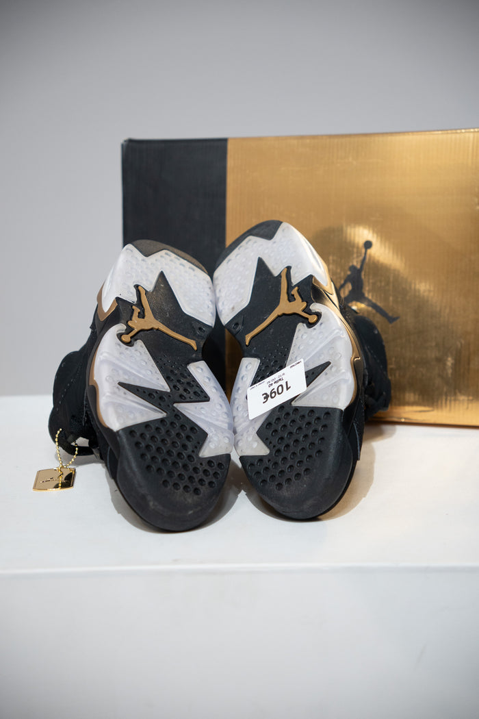 Jordan 6 DMP (Taille 40)