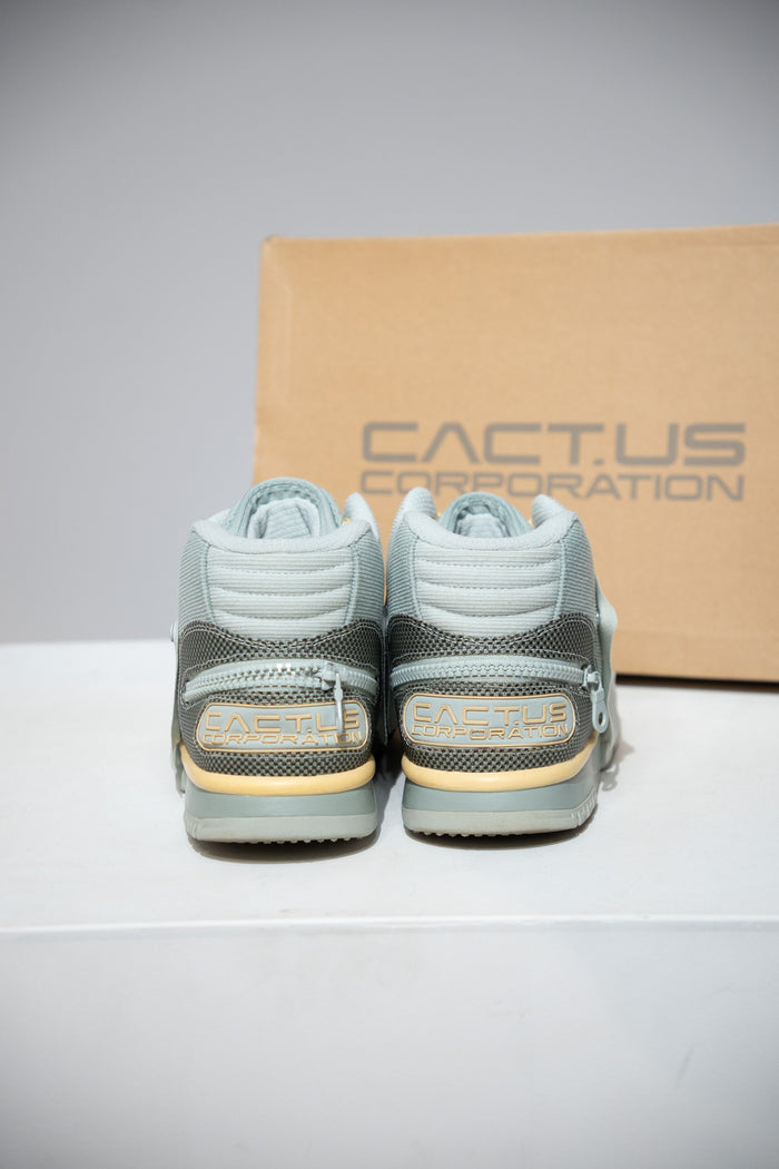 Air trainer Cactus Jack Grey (Taille 43)