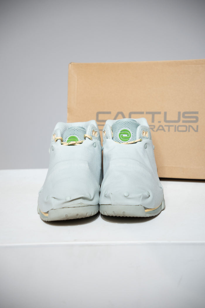 Air trainer Cactus Jack Grey (Taille 43)