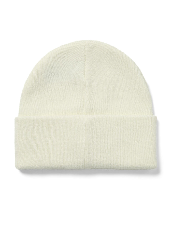 ESP-Logo Beanie