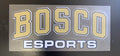 ESports Decal