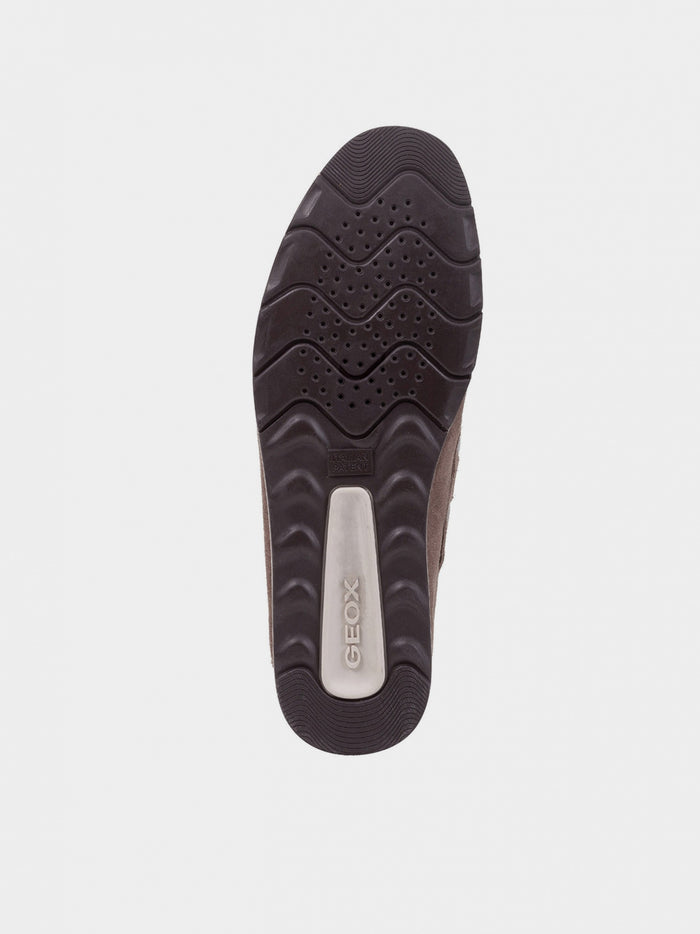 mw:img:6e495698ad40565187522653427dc71e
