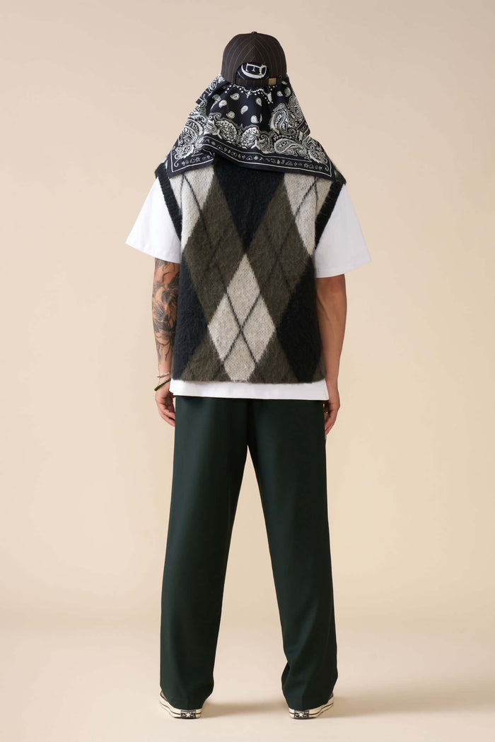 model wearing reversible mohair vest back view