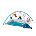 Tiny Love Tiny Mariners Developmental Gymini